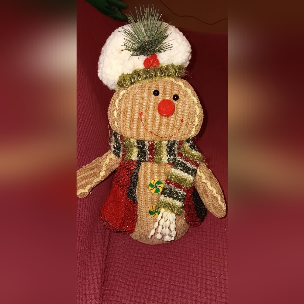 Gingerbread Man, 10 ", NWT, Delightful Holiday Products, Adorable In Person